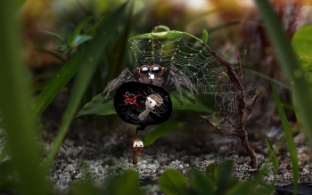 AntVentor Screenshot AntVentor Screenshot